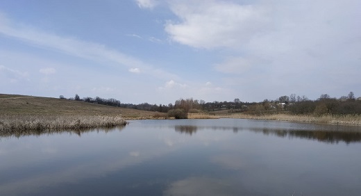 ПРИБЕРЕЖНІ ЗАХИСНІ СМУГИ